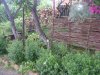 DSC01687.jpg