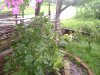 DSC01672.jpg