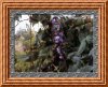 Копия DCAM0013.JPG