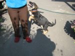 IMG_0890.jpg