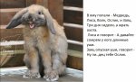 7845660-R3L8T8D-650-desktop-1407769413.jpg