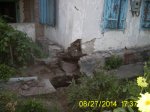 PIC_0344.JPG