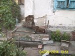 PIC_0365.JPG