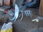 DSC07413.JPG