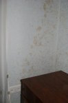 DSC04574.JPG