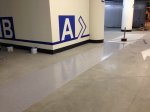 фото 3.JPG