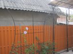 Изображение 002.jpg