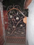 DSCN0627.JPG