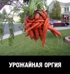 ea9863774cdc69d3219c1c6c681f92ae4ae56504dbca961f507e7811b239c936_1.jpg