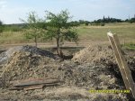 SDC16888.JPG