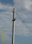 SDC16891.JPG