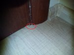 IMG_20141024_090351.jpg