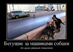 1414135037_023.jpg