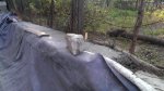 IMAG0074.jpg