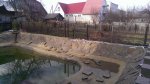 IMAG0144.jpg