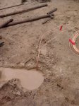 2013-09-29 09.05.36.jpg