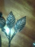 2014-11-09 21.00.05.jpg