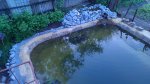 IMAG0327.jpg