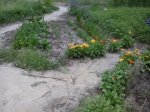 дорожки.jpg