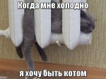 getImage (6).jpg