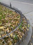 2014-11-12_10-48-59_851.jpg