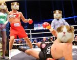 112.jpg