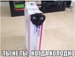 getImage (7).jpg