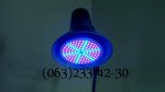 Grow-light-15w-4.jpg