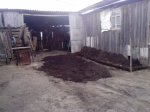 IMG_20131012_184358.jpg
