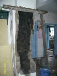 PIC_0058.JPG