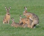 image003.jpg