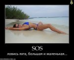16fa2bca86661c8e6f64f911aa55176deabcd77e_1.jpg