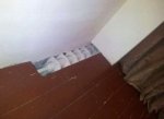 293814_766397.jpg