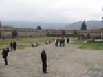 IMG_9373.JPG