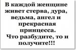стерва.jpg