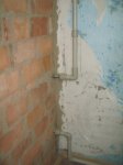 IMG_7655.jpg