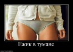 60565a7fbab043ab93939e98095d2734c9f8e889_1.jpg