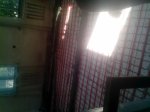 IMG_20140805_160850.jpg
