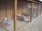 DSC08615.JPG