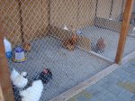 DSC08638.JPG