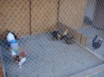 DSC08639.JPG