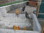 DSC08617.JPG