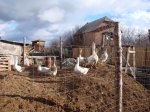 DSC08606.JPG