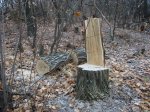 DSC08597.JPG