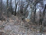 DSC08598.JPG