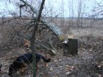 DSC08599.JPG