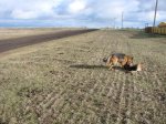 DSC08609.JPG