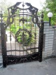 IMG_2918-00.jpg