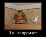 1419579024_demotivatory-31.jpg