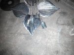 20141227173357.jpg